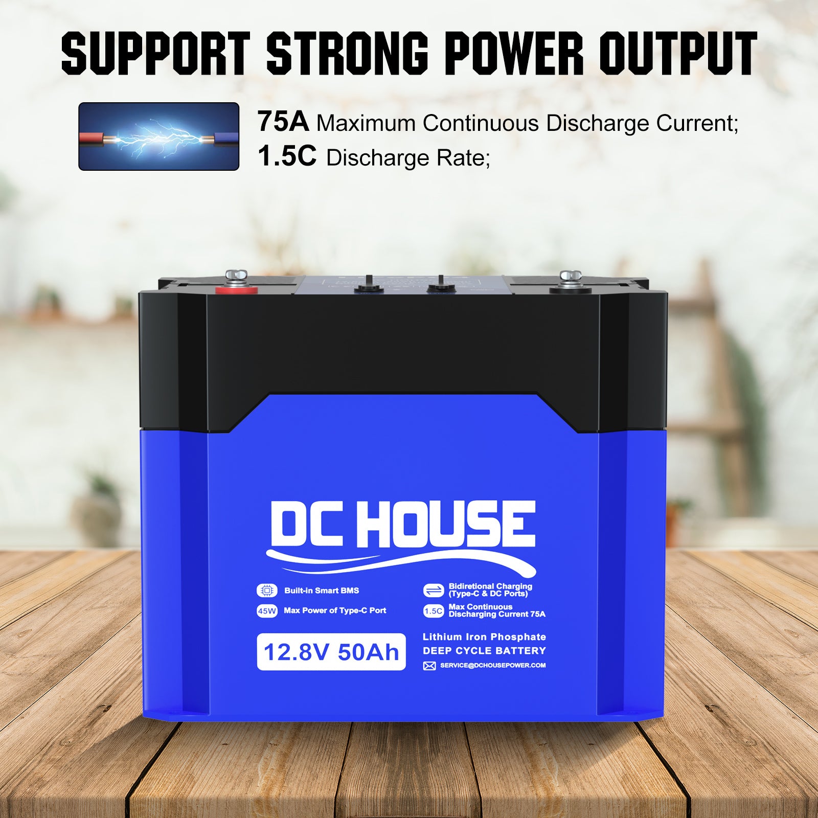dchouse_portable_lithium_battery_12V_50ah_2